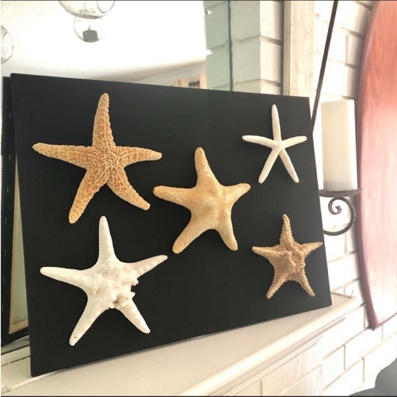 NWT Large 20x30” Black Canvas STARFISH COLLECTIBLE ART - Picture 1 of 7